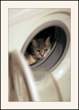 Lechat machine( programme couleurs )