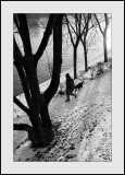 Bord de Marne au Perreux