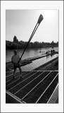 Club d'aviron du Perreux