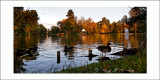 Lac de Maison Blancheà Gagny