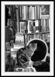 Librairie (3)</br>Chatkespeare