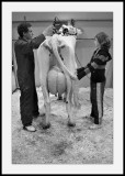 Salon de lagriculture</br>Coiffeur pour vaches (4)