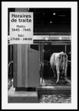 Salon de lagriculture</br>Vache fonctionnaire