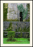 Mont-Saint-Michel</br>Murs verts