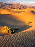 Mesquite Flat dunes, Death Valley National Park, CA