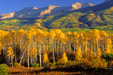 East Beckwith Mountains near Kebler Pass, CO