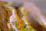 (IG59) Grand Prismatic Springs runoff, Yellowstone National Park, WY