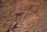 (SG12) Chevron folds, Golden Gate Bridge Park, CA