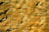(SG26) Lineated slickinsides on fault plane surface, Spring Mountain, PA
