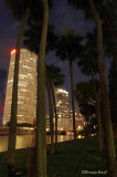 Tampa Night Lights-6374