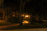 Tampa Night Lights-6398