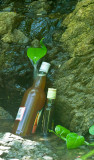 _DSC0091. Wine Cooler III