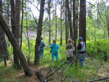 Birders at Calliope Crossing
