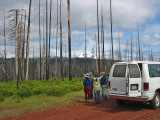 Birders at Abbott Creek burn