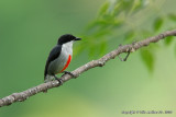 IMG_9357--web.jpg