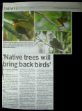 The Cebu Daily News (click original size below to read article)