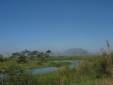 View from our vantage point with Mt. Arayat in the background