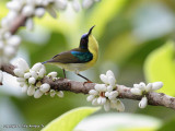 IMG_4756--web.jpg