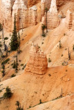 Bryce Canyon hoodoo