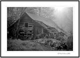 black_and_white