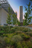 Evening behind the Art Institute