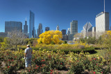 City Gardening