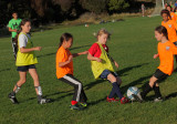 Scrimmage Yellow v. Orange