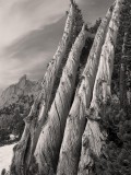 lodgepoles_6376.jpg