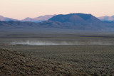 _MG_8100.jpg