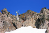 _MG_9046.jpg