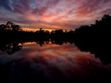 Florida Sunset