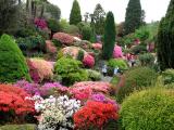 Leonardslee Gardens in May