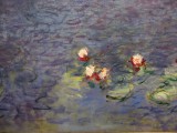 Claudes Lillies