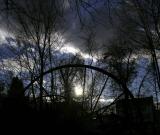 the wheel