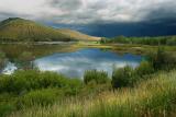 Wild Scene in Grand Tetons