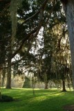 Natchez 3.jpg