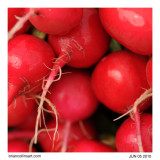 radishes