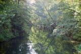 The Copernicus Walk, Town Forest, Olsztyn