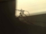 03012009243.jpg light