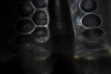 DSC_0098.reflections 1jpg
