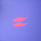 Our English tropicalfish - the stickleback.jpg