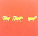 Rainbow Sheep