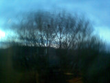 view from window