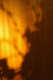 blind sunset