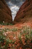 Kata Tjuta - Valley of the winds walk.