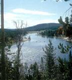 Snake River at Jackson Hole in Wyo - Canon FTQL.jpg