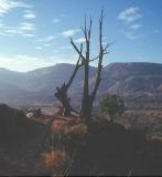 Palo Duro Canyon in Tex  in Late Afternoon - Canon AE1.jpg