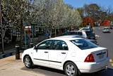 Springtime at the Shopping Centre