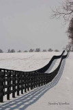 Fence Row in Snow