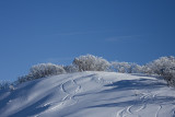 IMG_0286 copy.jpg